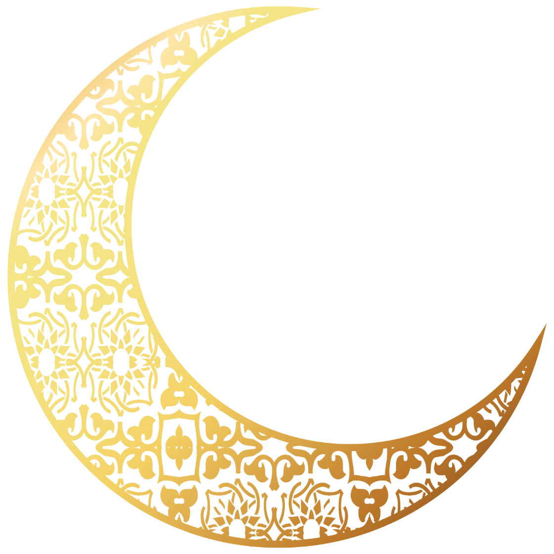 Logo Hidaya